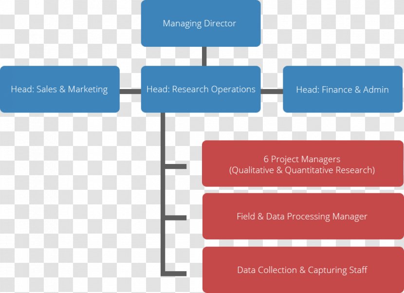 Organizational Chart Business Marketing Management - Web Analytics Transparent PNG