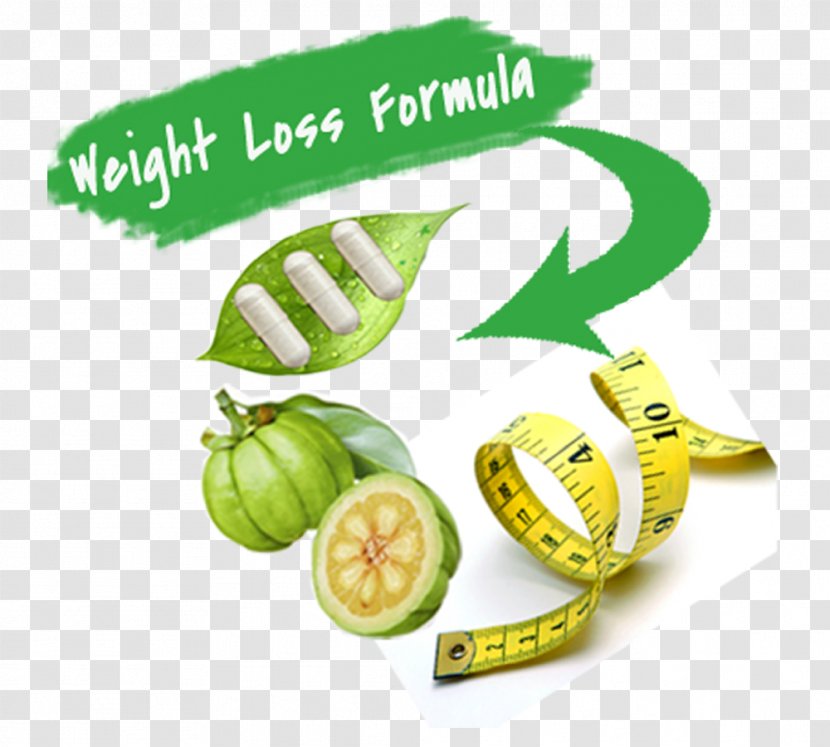 Garcinia Cambogia Dietary Supplement Kiwifruit Vegetarian Cuisine Food - Vegetable - 60 Addition Problems Transparent PNG