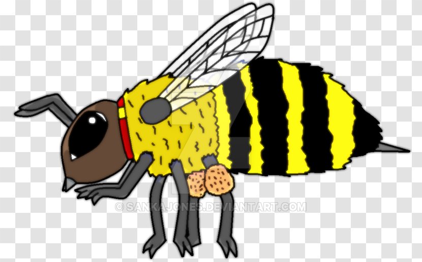 Honey Bee Cartoon Clip Art Transparent PNG