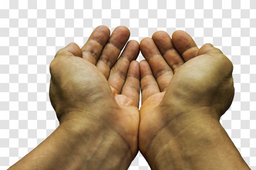 Begging Praying Hands - Prayer - Hand Transparent PNG