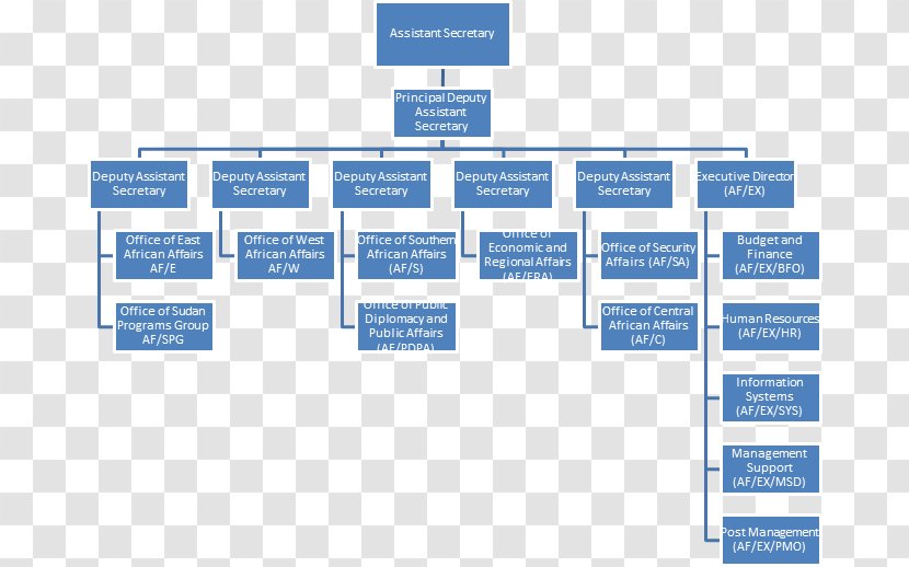 Organizational Chart Business Management Enterprise Architecture - Diagram Transparent PNG