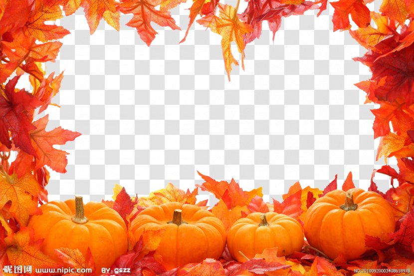 Autumn Leaf Color Clip Art - Template - Leaves Border Transparent PNG