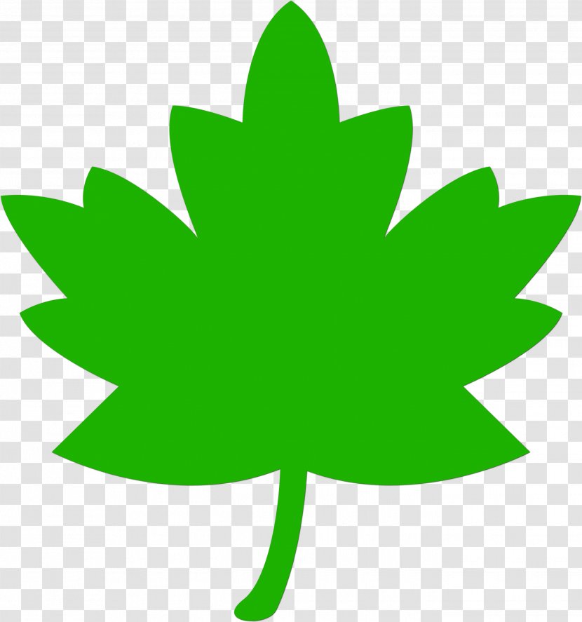 Maple Leaf - Tree - Symbol Transparent PNG