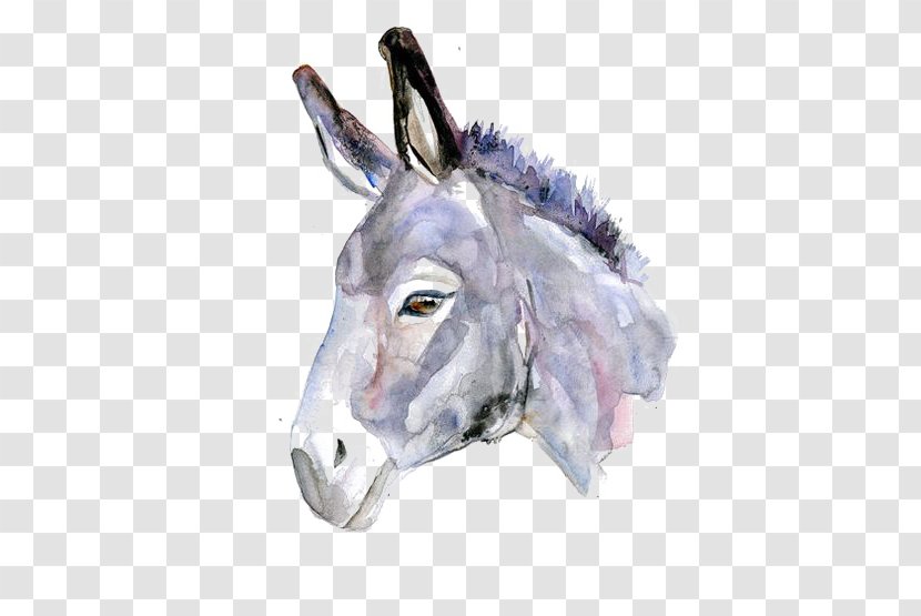 Donkeys In North America Watercolor Painting Drawing - Horse Like Mammal - Donkey Transparent PNG