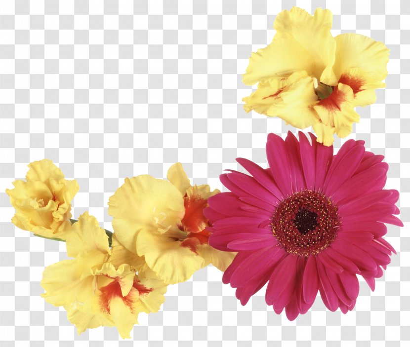 Flower Floristry Yellow Photography - Flowers Transparent PNG