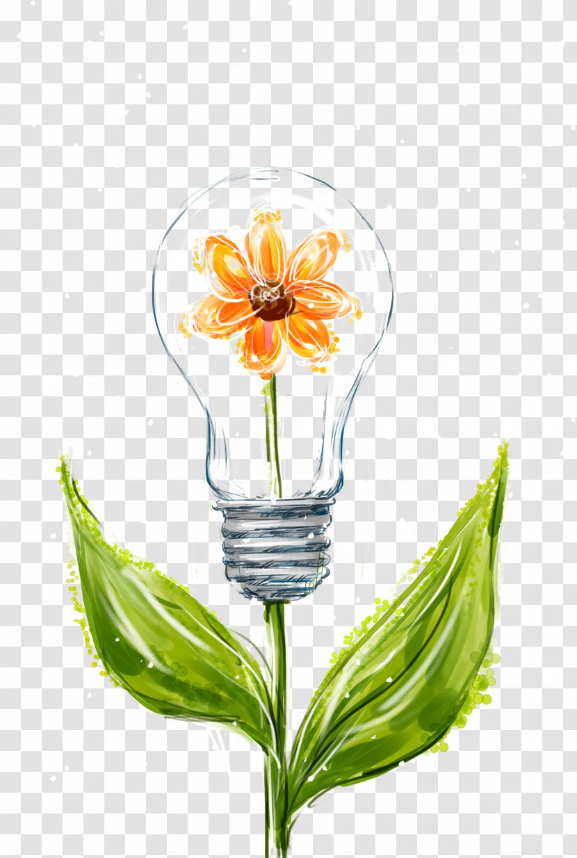 Incandescent Light Bulb - Flowering Plant - Flower Bulbs Transparent PNG
