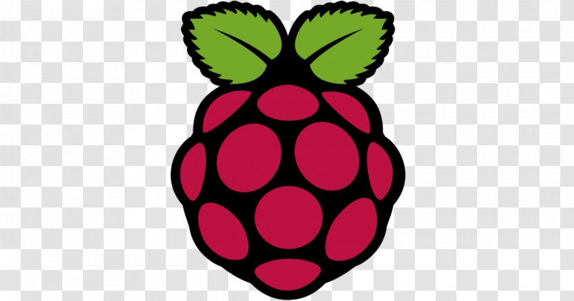 Virtual Network Computing Raspberry Pi RealVNC TightVNC Computer Software Transparent PNG