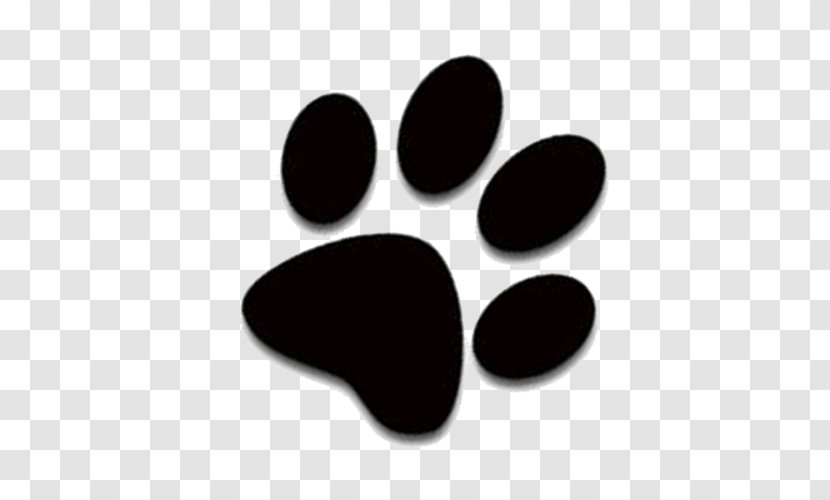 Cat Dog Kitten Paw Clip Art - Pet Transparent PNG