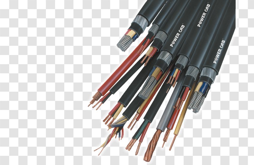 Web Development Tool Electrical Cable Software Cross-linked Polyethylene - Sopan Technologies Private Limited - World Wide Transparent PNG
