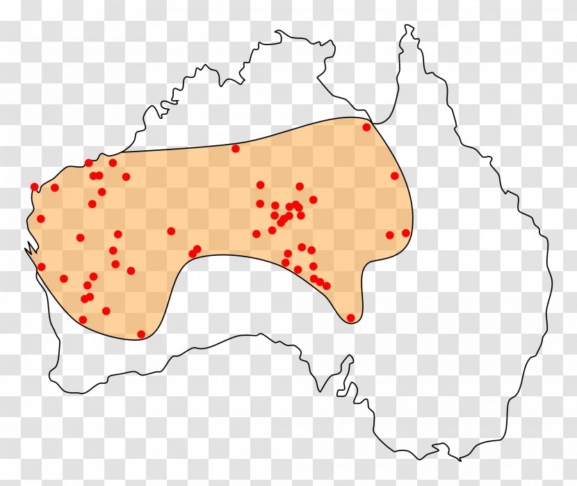 Indigenous Australians Perentie Western Civilization: A Brief History Dingo - Australia Transparent PNG
