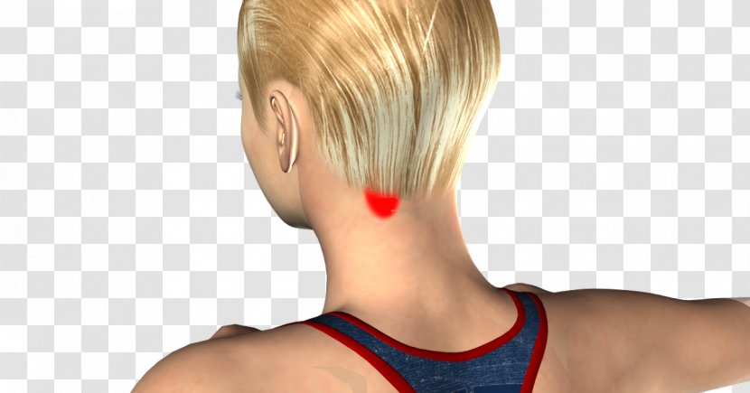 Blond Hair Coloring Pixie Cut Bangs Bob - Heart - Neck Pain Transparent PNG