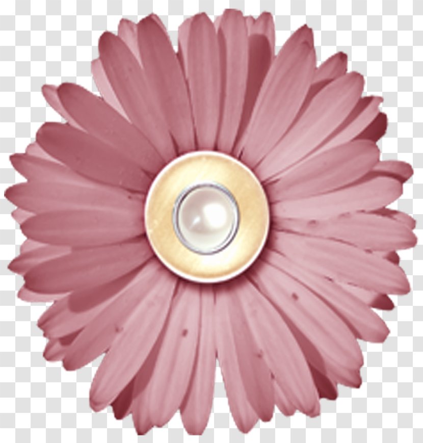 Digital Scrapbooking Paper Embellishment - Pink - Shabby Transparent PNG