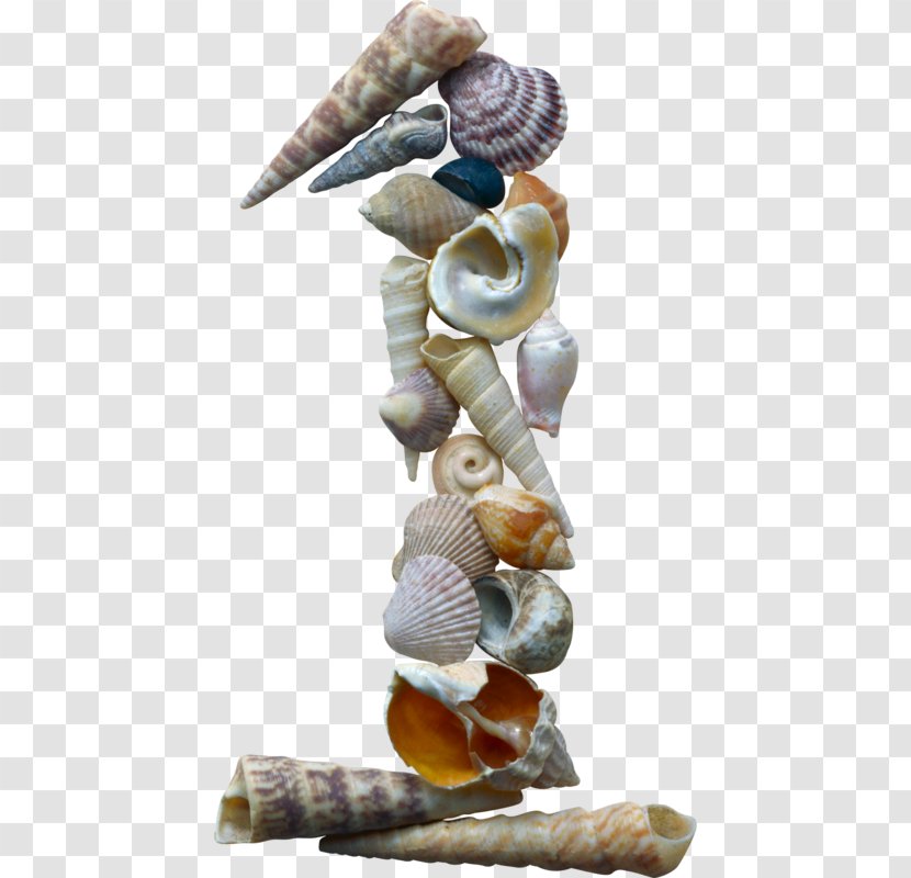 Numerical Digit Number Alphabet Seashell Mollusc Shell Transparent PNG