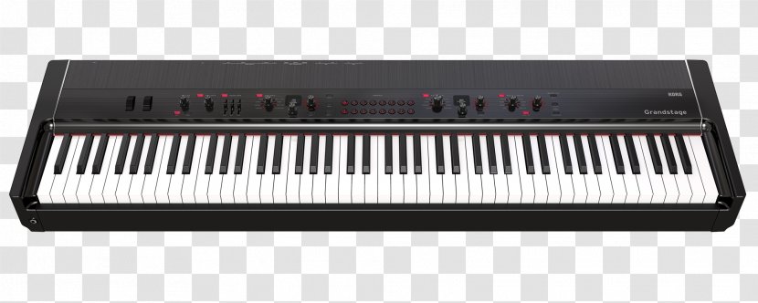 ARP Odyssey Stage Piano Korg Digital Action - Tree Transparent PNG