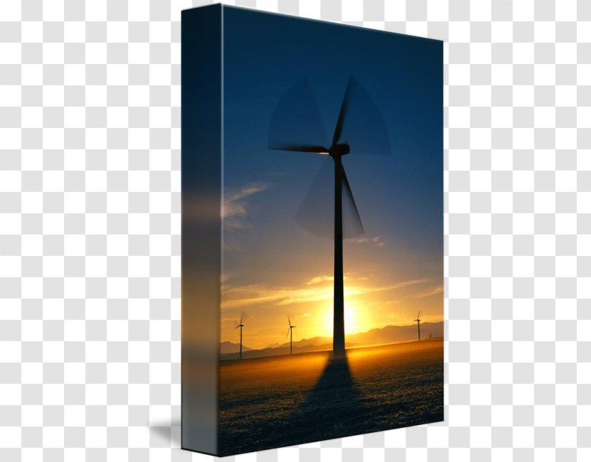 Common Daisy Flower Transvaal Energy Wind Turbine - Red - Farm Transparent PNG