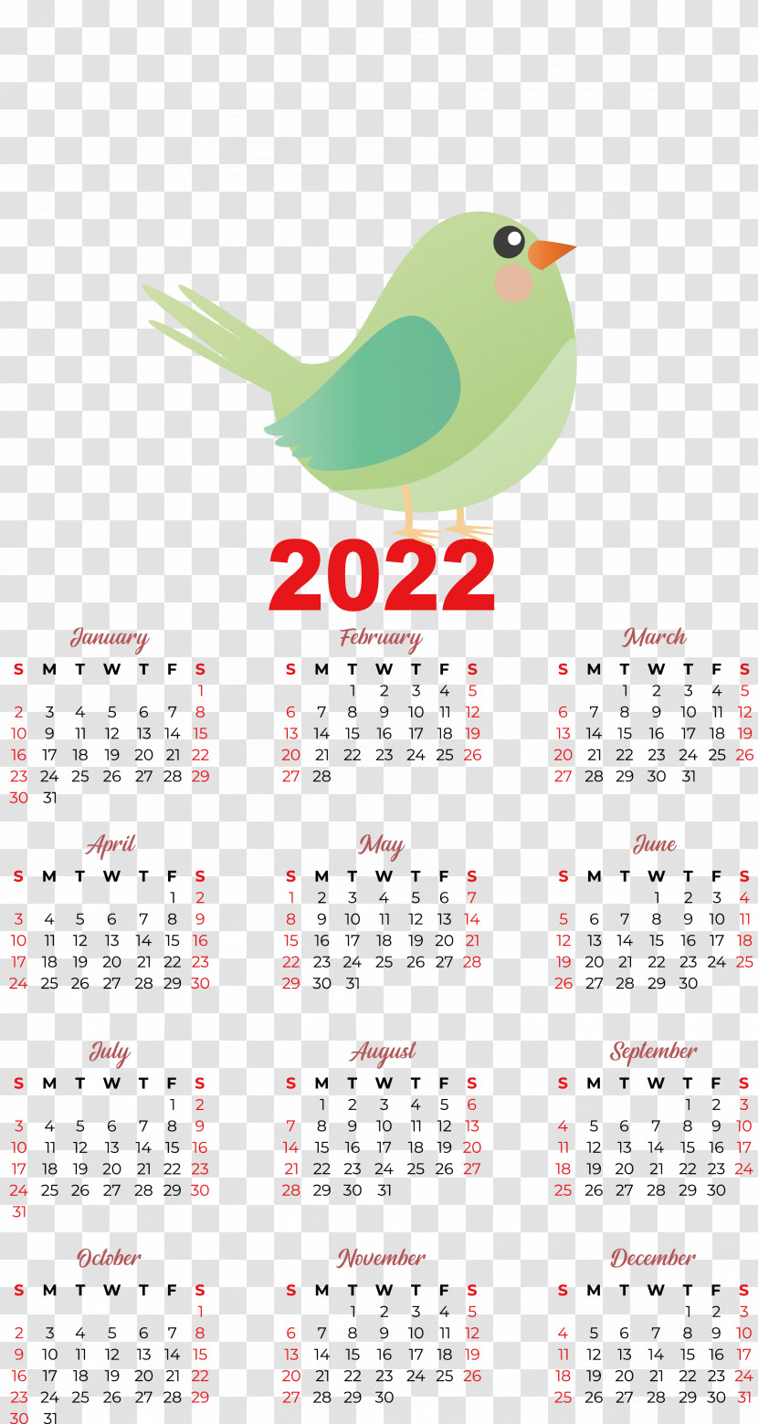 Birds Beak Calendar Font Meter Transparent PNG