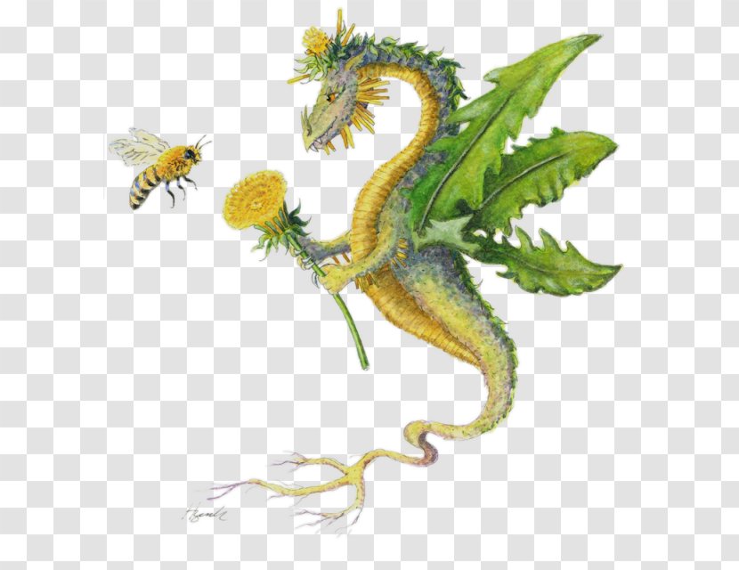 Dragon Western Honey Bee Fantasy Art - Reptile - Flying Seagull Transparent PNG
