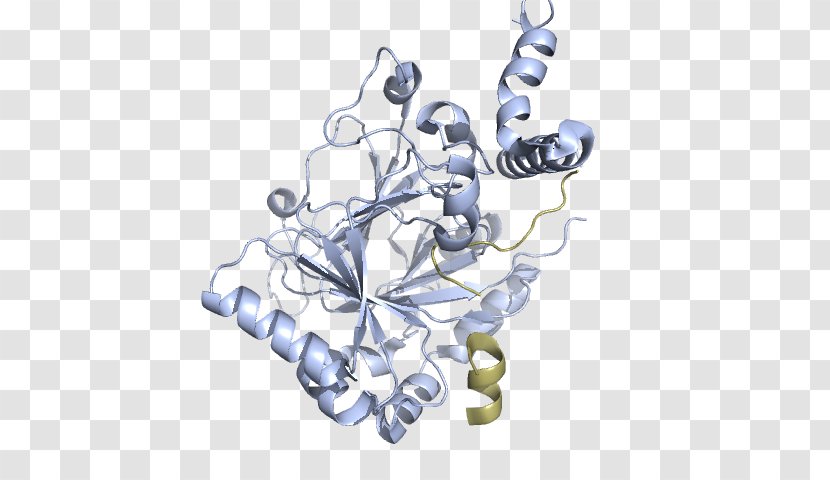 HIF1A PAS Domain Aryl Hydrocarbon Receptor Nuclear Translocator Protein - Homo Sapiens Transparent PNG