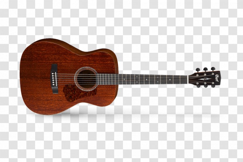 Ukulele Acoustic-electric Guitar Cort Guitars Steel-string Acoustic - Watercolor Transparent PNG