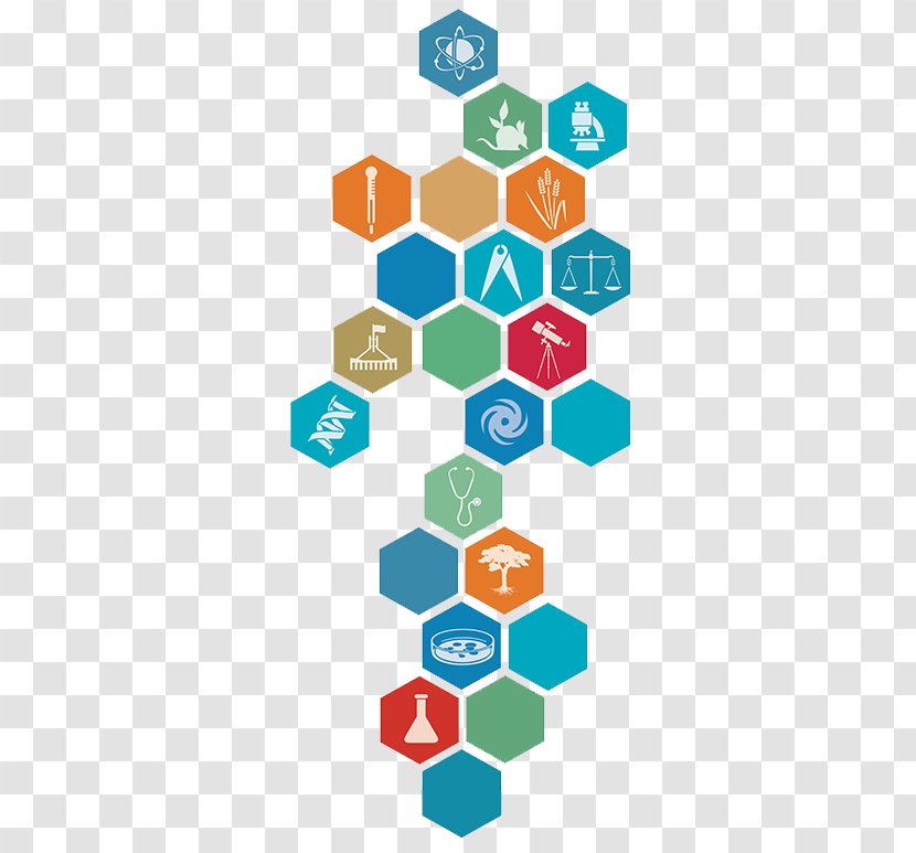 Brand Technology Clip Art - Communication - Hexagon Infographic Transparent PNG