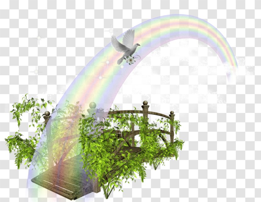 Rainbow Vector Graphics Download Image - Bridge - Environment Psd Transparent PNG