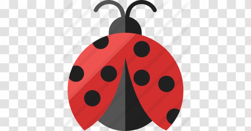 All For U Home Care Activities Of Daily Living Service Ladybird Quality Life - Nampa - Invertebrate Transparent PNG