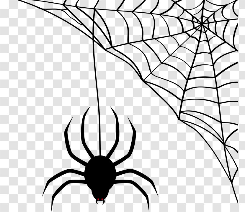 Spider-Man Spider Web - Silhouette Transparent PNG