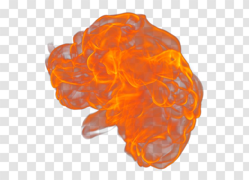 Fire Flame Llama Rendering Painting - Orange Transparent PNG