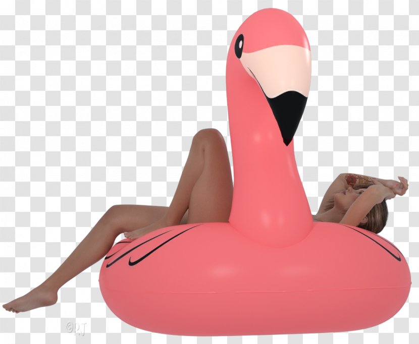 Neck Water Bird Physical Fitness Transparent PNG