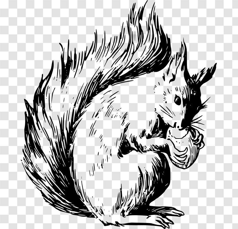 Eastern Gray Squirrel Tree American Red Rodent - Vertebrate - Sky Transparent PNG