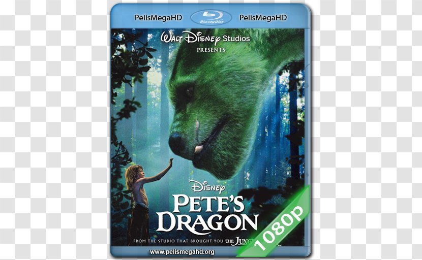 Film Blu-ray Disc DVD The Walt Disney Company Digital Copy - Silhouette - Dvd Transparent PNG