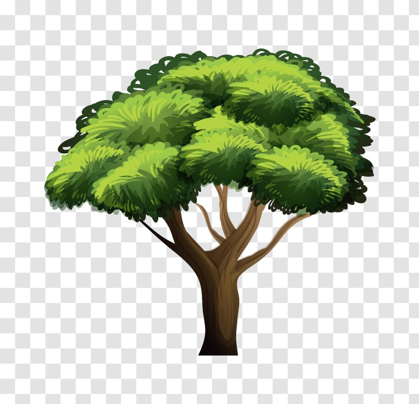 Tree Royalty-free Illustration - Plant - Tree,Trees Transparent PNG