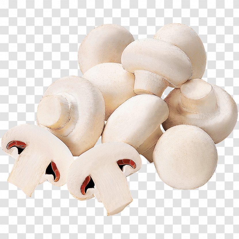 Common Mushroom REWE Filia Kaiserslautern DISCOUNTO GmbH - Discounto Gmbh Transparent PNG