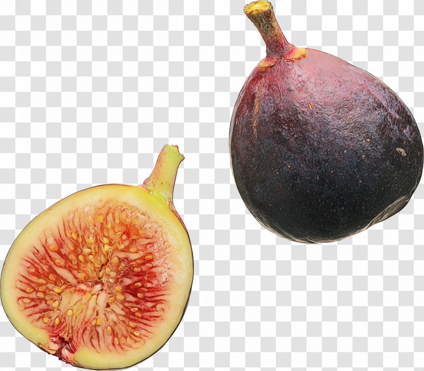 Common Fig Fruit Natural Foods Plant Food - Superfood Accessory Transparent PNG