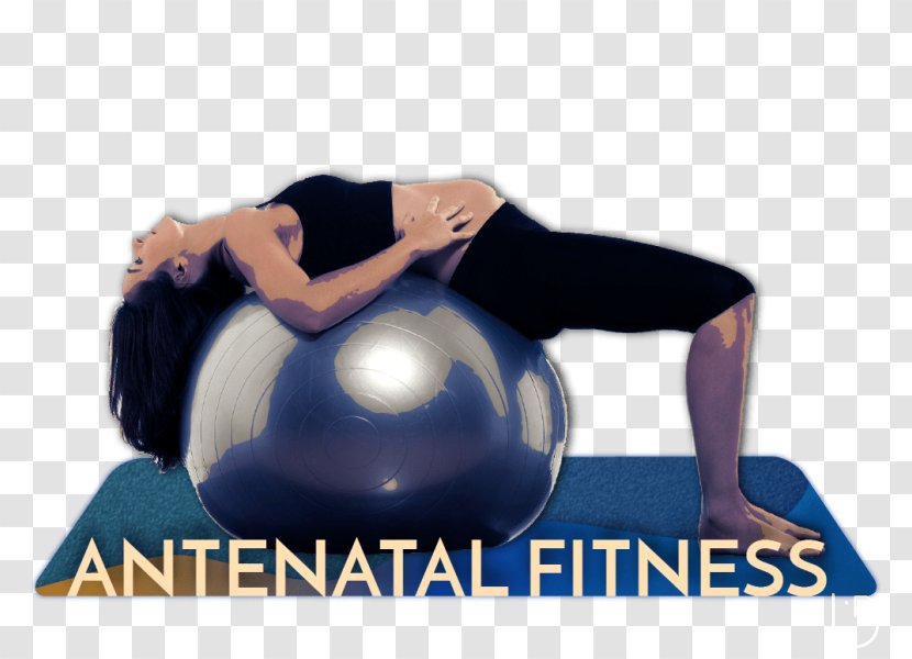 Fitolicious Pilates Exercise Balls - Stretching - Pregnancy Transparent PNG