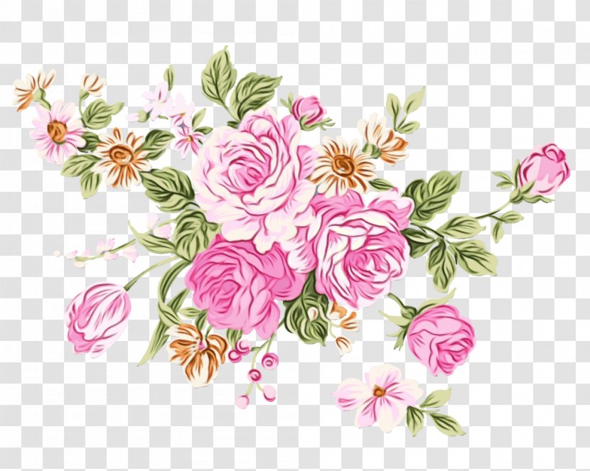 Garden Roses International Women's Day Cabbage Rose Moscow Yandex - Pedicel - Plant Transparent PNG