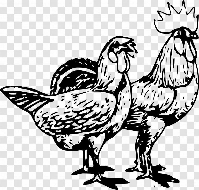 Chicken Rooster Clip Art - Artwork - Iguana Transparent PNG