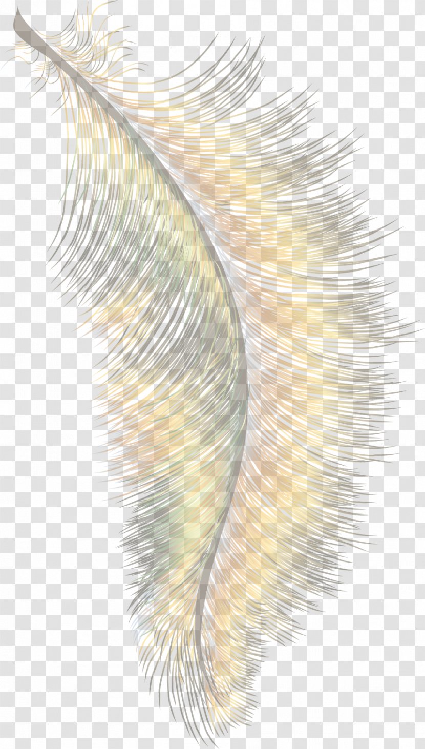 Feather Cartoon Wing - Organism - Material Transparent PNG