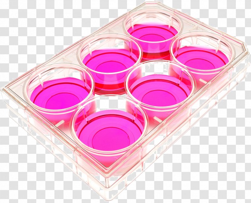 Cell Culture And Tissue Petri Dishes - Glass Transparent PNG
