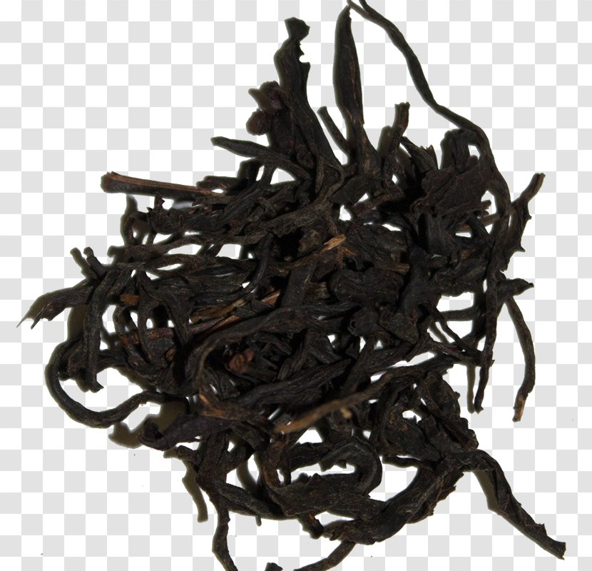 Nilgiri Tea Dianhong Golden Monkey Plant - Ceylon Transparent PNG