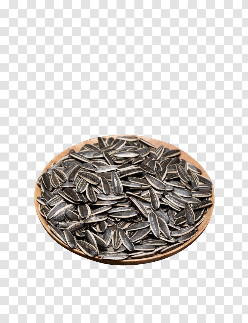 Sunflower Seed Common - Food Drying - Seeds Transparent PNG