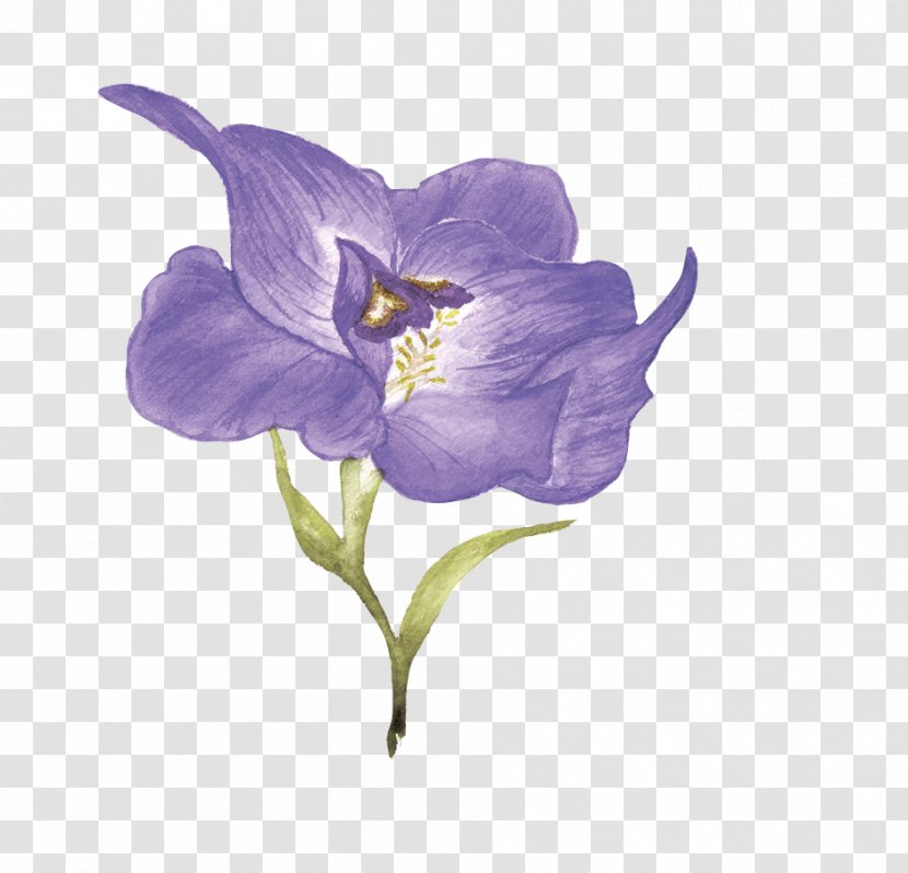 Purple Flower Download - Rgb Color Model - Flowers Transparent PNG