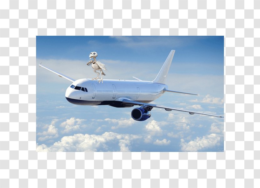 Airplane Fixed-wing Aircraft Flight Aviation Transparent PNG