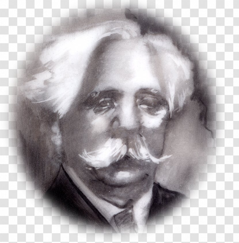 Nose Human Self Portrait Forehead Chin - Head - Monet Transparent PNG