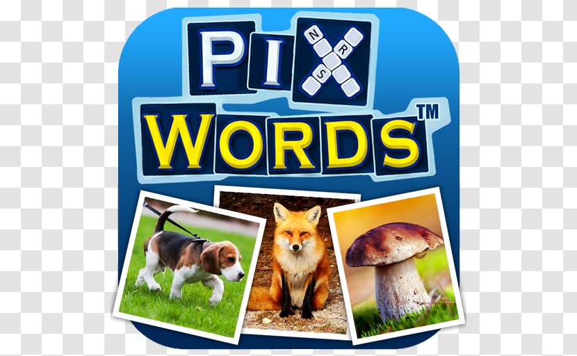 PixWords™ PixWords® Scenes Picture Crosswords Android Letter - Puzzle Transparent PNG