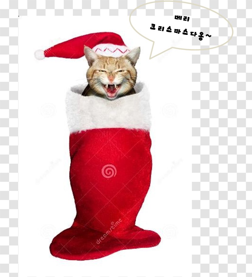 Santa Claus Christmas Ornament Stockings - Fictional Character Transparent PNG