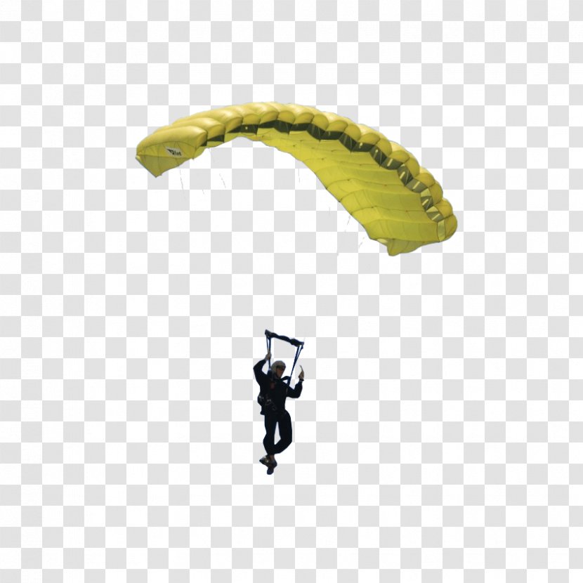 Airplane Parachute Parachuting Paragliding Skydiver - Aviation Transparent PNG