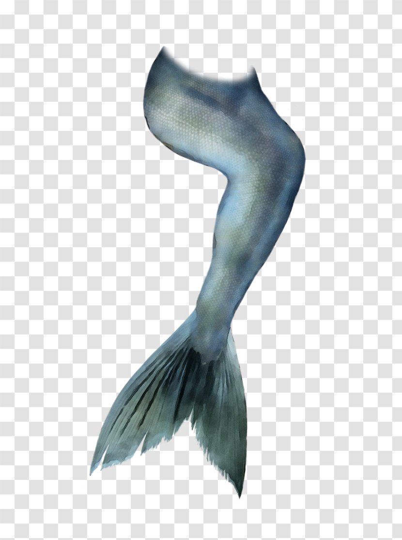 Mermaid Cartoon - Tail - Wing Fish Transparent PNG