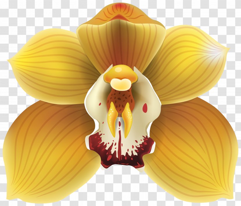 Orchids Yellow Clip Art - Orchid Transparent Transparent PNG