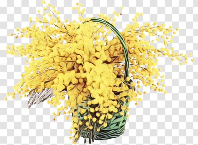 Mimosa - Yellow - Goldenrod Transparent PNG